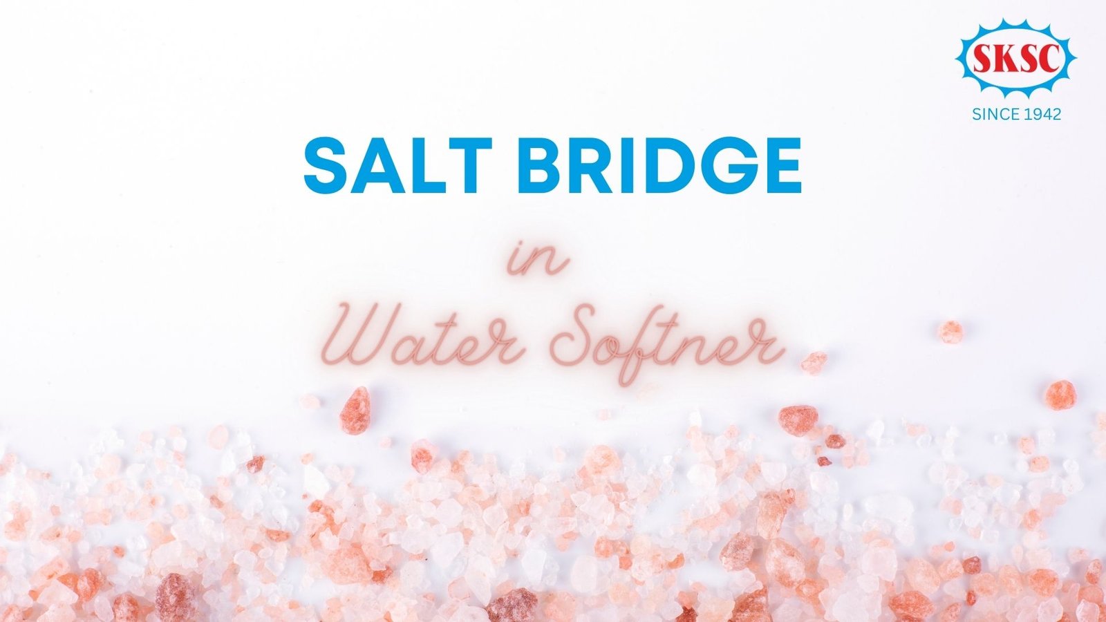 Salt Tamil Nadu Sksc